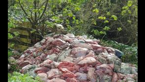 Huge amount of 'raw meat' dumped in rural area of Tipperary