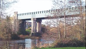 Planting and cleaning of viaduct will a huge job but Cahir Tidy Towns are up for the challenge