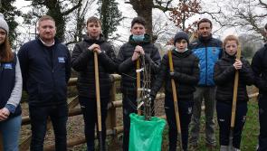New fruit garden in Tipperary will link our past to the future
