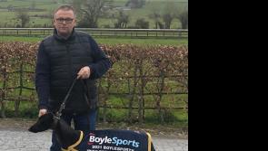 More honours for top Tipperary greyhound Susie Sapphire and Owen McKenna