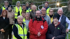 Welcome new lighting will brighten up Cahir - Owl boxes on the way too!
