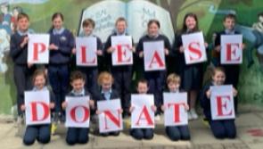 County Tipperary school appeals for funds for astro turf facility