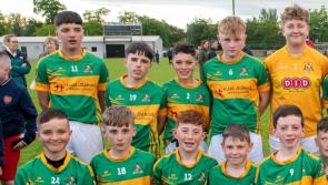 Tipperary Bord na nÓg: Clonmel Commercials top Newport in county final