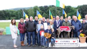 Big upset as outsider lands National Produce Stakes final at Clonmel