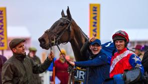 Angels Dawn raises big cheers in Cheltenham and back home in Tipperary