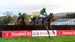 Feature race of the year at Tipperary track is only weeks away 