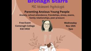 Psychotherapist to give talk in Carrick-on-Suir on parenting young people suffering anxiety