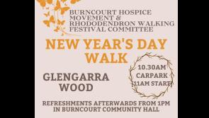 New Year's Day walk in Glengarra Wood will raise funds for south Tipperary hospice services 