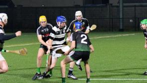 Single point victory for Carrick Swan in south Tipperary Junior B hurling final