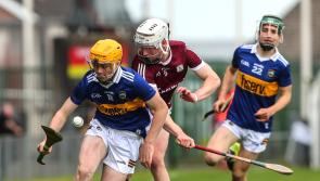 Heartwarming display by minors has lit up dark and dreary scene in Tipperary