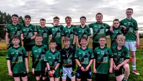 Busy times for Clerihan GAA club in south Tipperary