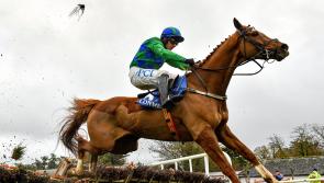 Seven-race card lined up for horse racing in Clonmel