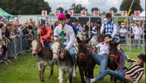 Crowd record smashed at action-packed Clonmel Agricultural Show 
