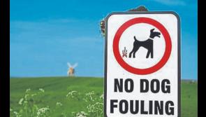 No fines for dog fouling were issued in Tipperary last year