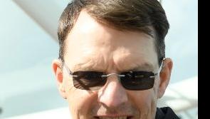 Tipperary horse racing trainer has the favourite for next year's 2,000 Guineas