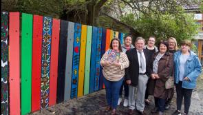 Carrick-on-Suir artist tranforms fence at Kilkenny's KCAT Centre into a work of art 