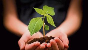 Horticultural Society in Tipperary is blooming once again in its 40th year