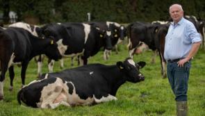 Tipperary TD lobbies minister to cut cost of road closure licences for cattle underpass projects