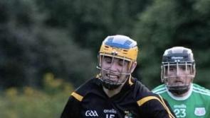 Gortnahoe continue to impress as they defeat Portroe to make semi finals