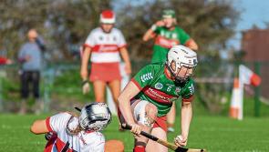 Tipperary camogie champions are bidding for return trip to Munster final 