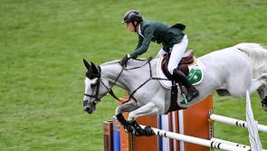 Tipperary's Max Wachman helps Ireland to third place finish at Nations Cup in Florida