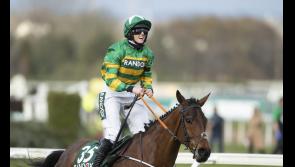 Minella Times will be forever part of horse racing and sporting history in Tipperary