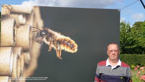 Tipperary-based photographer took time out from honeymoon to attend national final