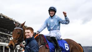 'Special mare' carries Tipperary jockey's dreams to Leopardstown this weekend