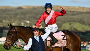 Delighted Tipperary man leads in Gold Cup winner at Cheltenham Festival