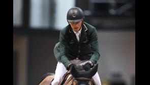 Tipperary brothers shine for Ireland's showjumping team in Nations Cup success in Abu Dhabi 