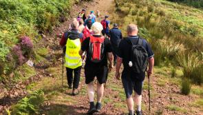 Fancy a Camino Walk around Mounty Melleray this weekend - no booking needed!