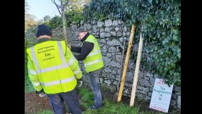  'It’s the TÚS guys that add the extra touch' - Cahir thankful for help with new tree planting 