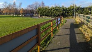 ‘Walk the Walkway’  - Official community celebration event in south Tipperary village