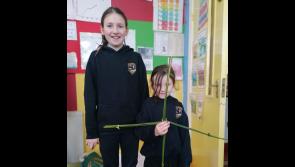 Grandparents’ Day at county Tipperary primary school was enjoyed by one and all
