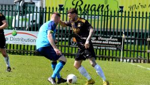 Troy and Fogarty on target as Borris win in Tipperary Shield