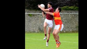 Gavin Whelan scores 2-4 as Ardfinnan win well to ensure Tipperary senior status