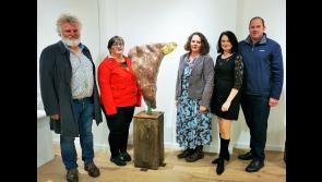 Tipperary artist's stunning new exhibition continues during November at Cahir Arts