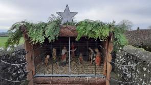 Keeping a Tipperary Christmas tradition alive - and all in a good cause