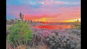Get away from it all with a fundraising bog walk in Tipperary on a bank holiday Monday 
