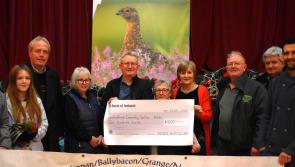 All the lights are comin' on now in Tipperary Village - Community Council says thanks