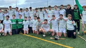 First half goals prove vital as Scoil Ruáin hurlers defeat Mount Sion of Waterford