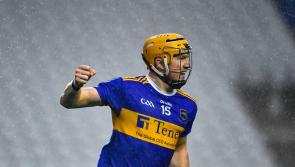 Tipperary hurling stars join the coaching team for club's fun-filled summer camp