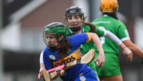 Five Tipperary players are in the hunt for camogie All-Star awards