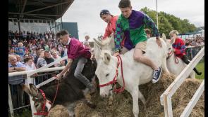 Clonmel Agricultural Show is back after a Covid absence