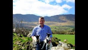 Final countdown to Comeraghs Wild Festival that runs from July 6 to 9