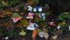 Gardaí are not responsible for tackling Tipp's litter problem, Tipperary JPC hears