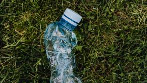 'No decent person would do that,' strong response promised on illegal dumping in Thurles