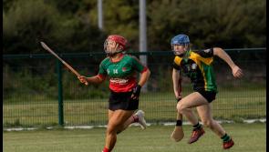 REVIEW: Senior camogie throws up some interesting results last weekend