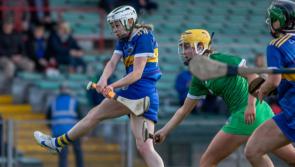 Tipp put Limerick to the sword in Munster clash