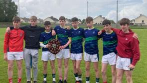Tipperary men win Leinster title with Johnstown